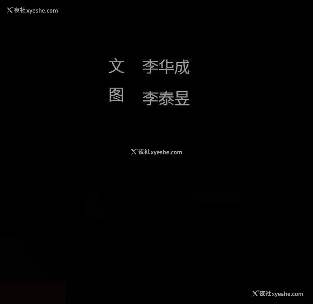 23P - 完美人偶