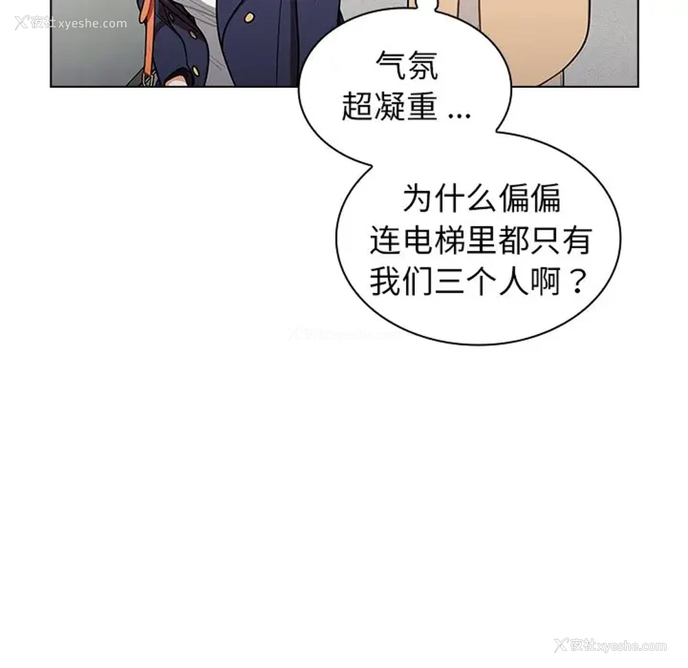 15P - 组长好神秘