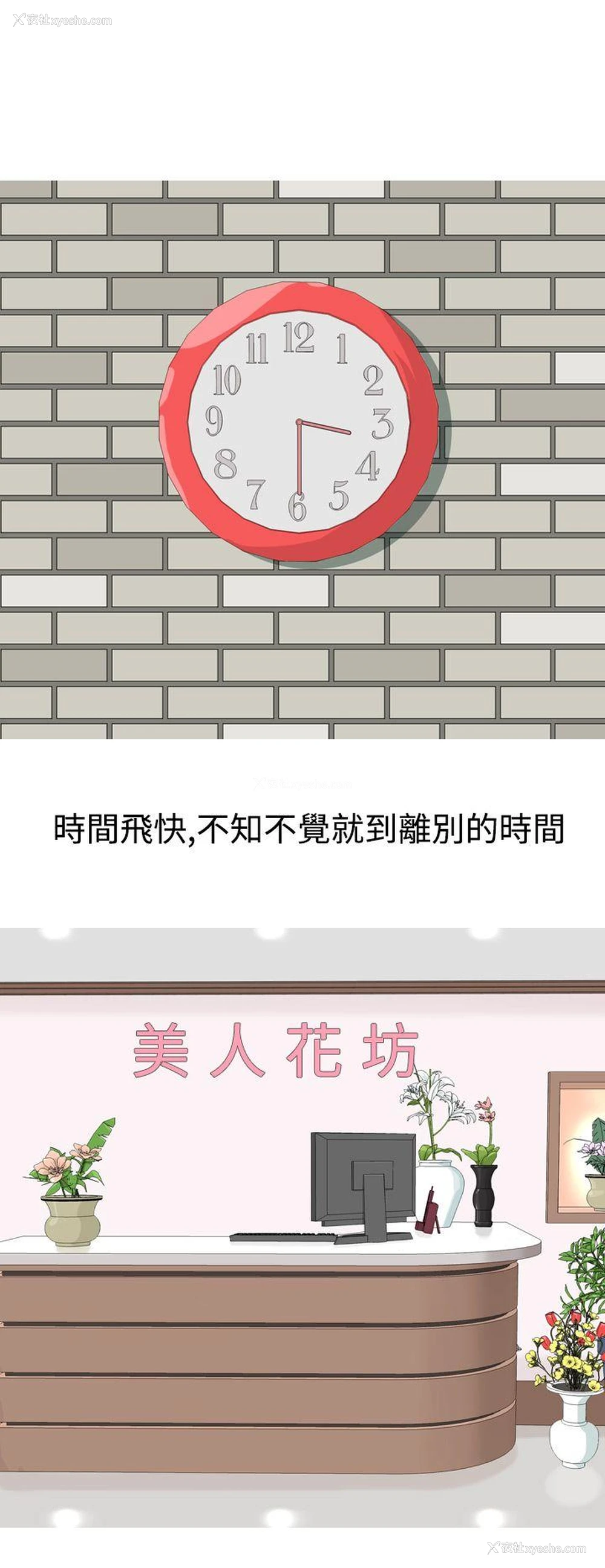 12P - 美人花坊