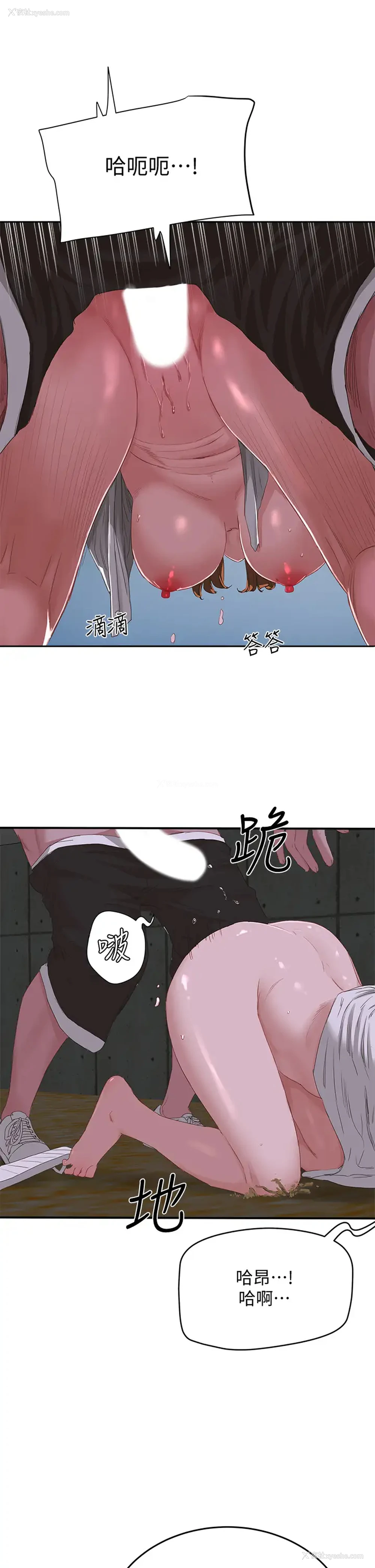 11P - 夏日深处