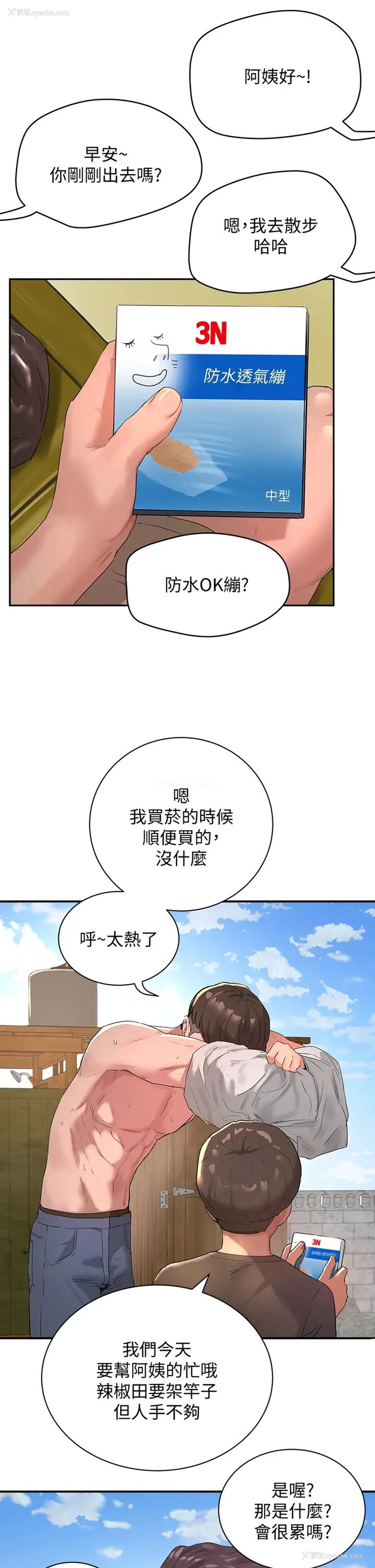 15P - 夏日深处