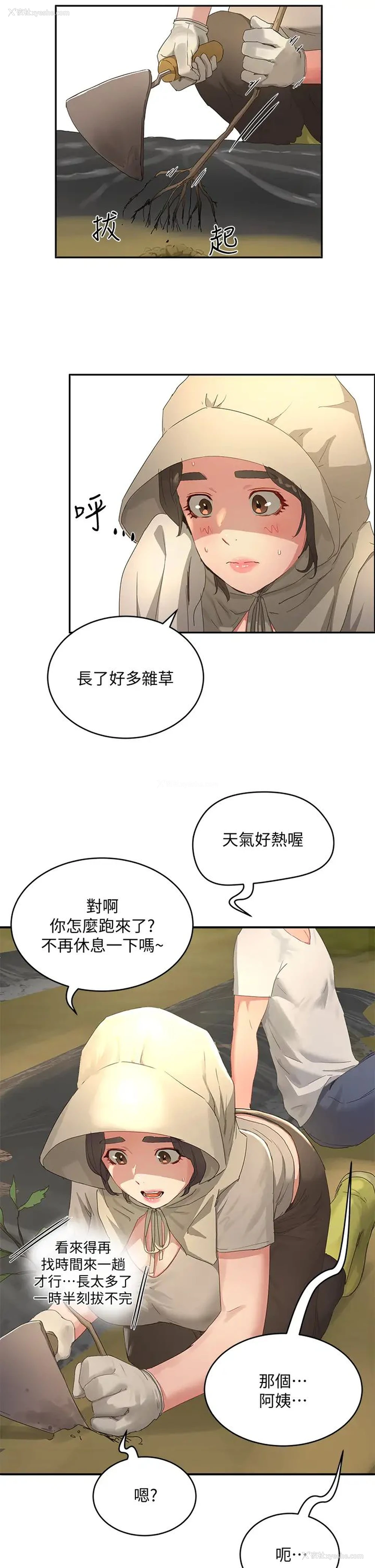 31P - 夏日深处