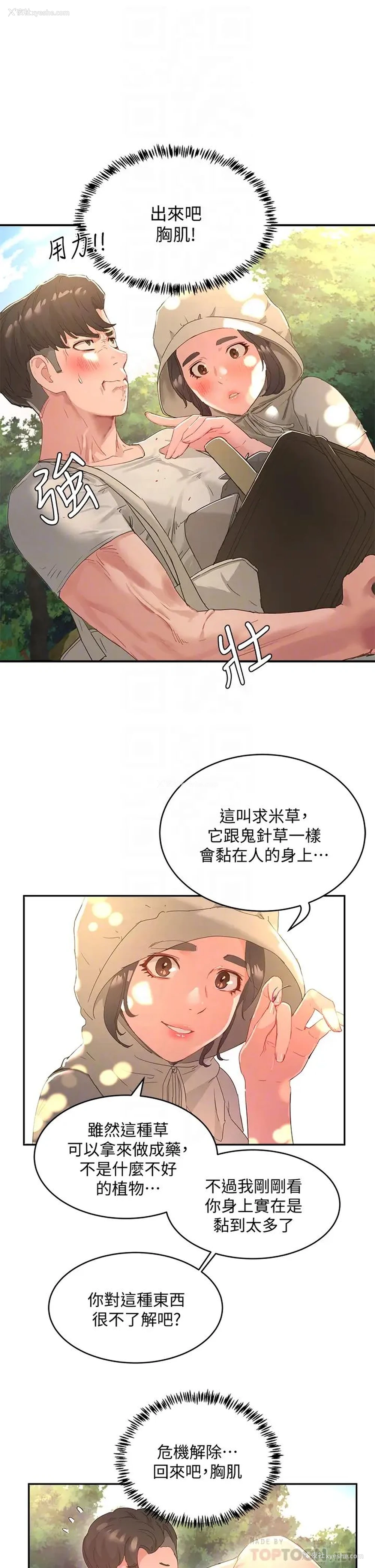 8P - 夏日深处