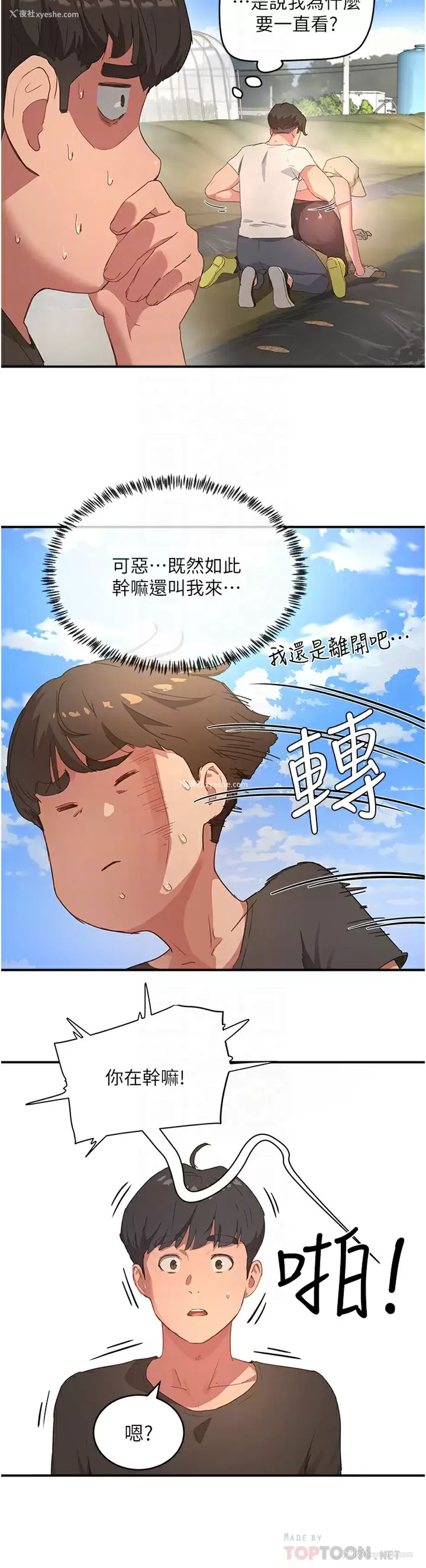 14P - 夏日深处