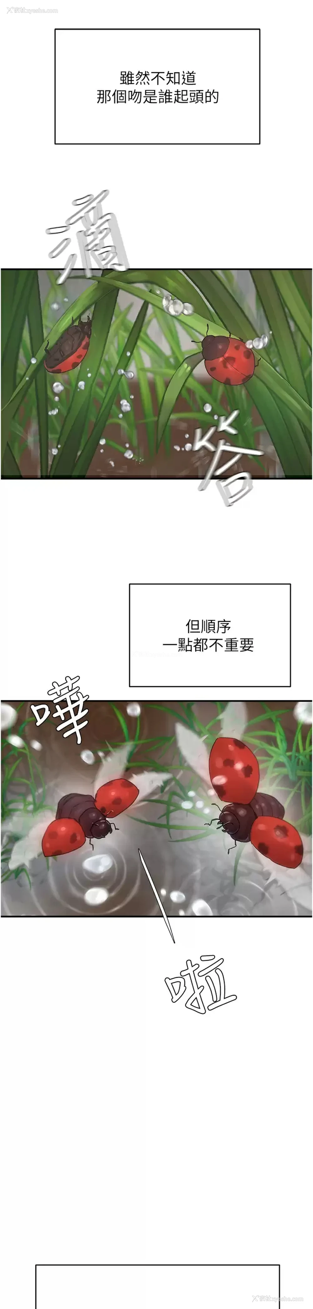 24P - 夏日深处