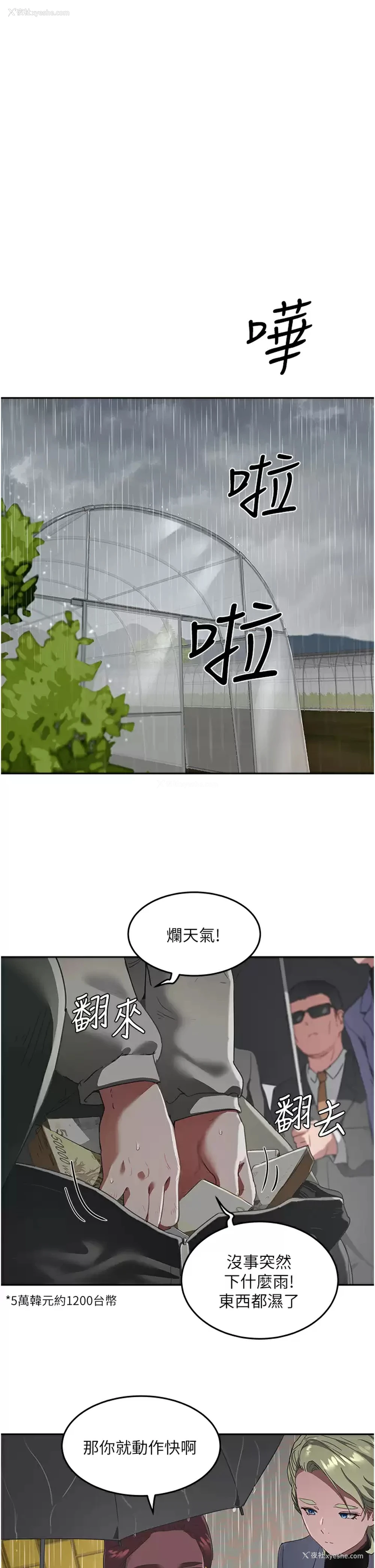 1P - 夏日深处