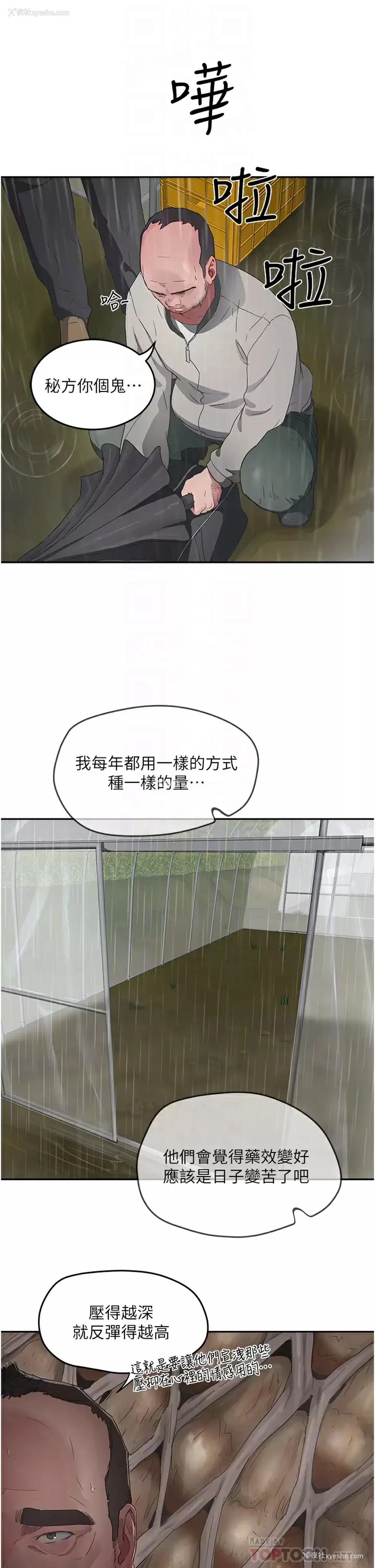 4P - 夏日深处
