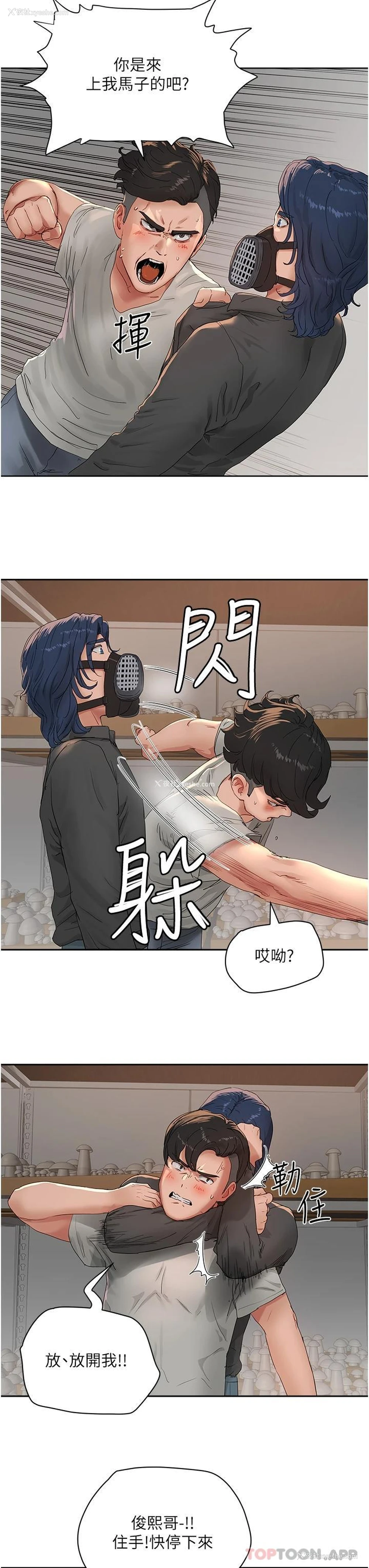 31P - 夏日深处