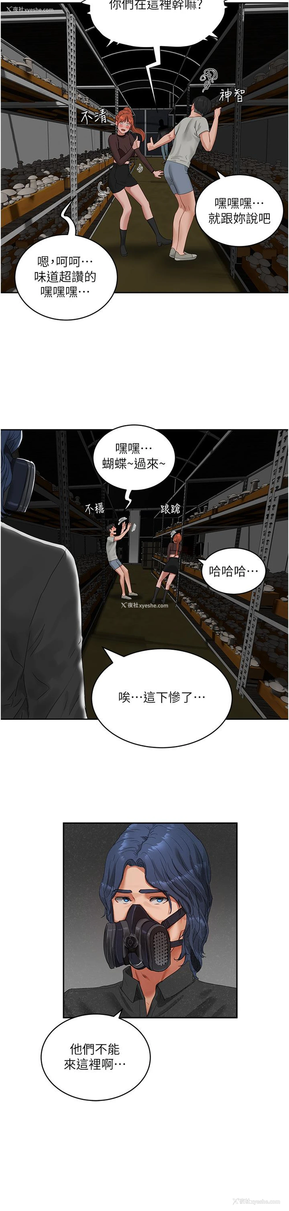 11P - 夏日深处