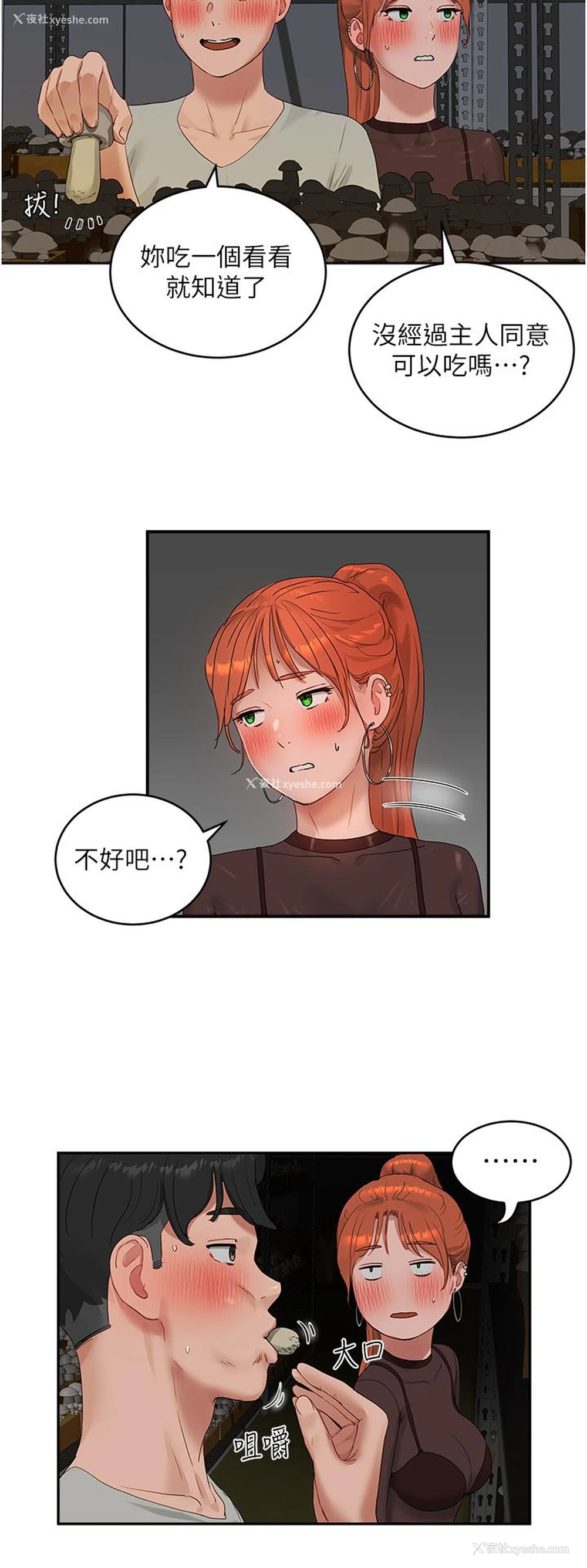 9P - 夏日深处