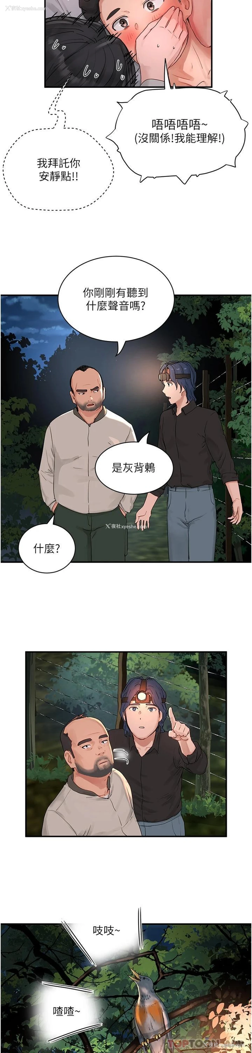 15P - 夏日深处