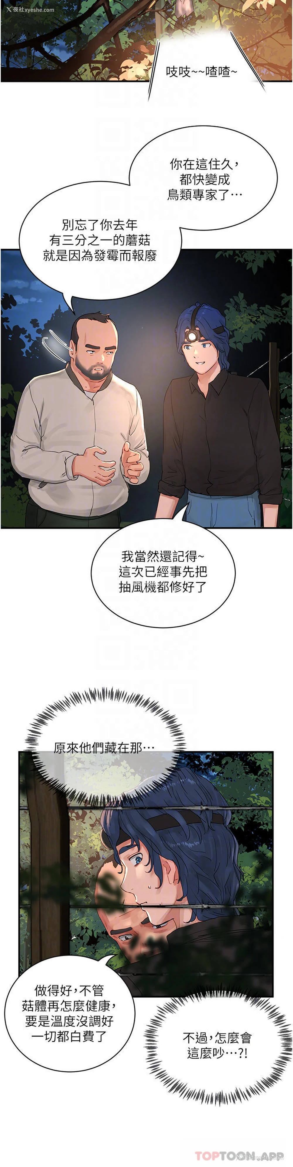 16P - 夏日深处