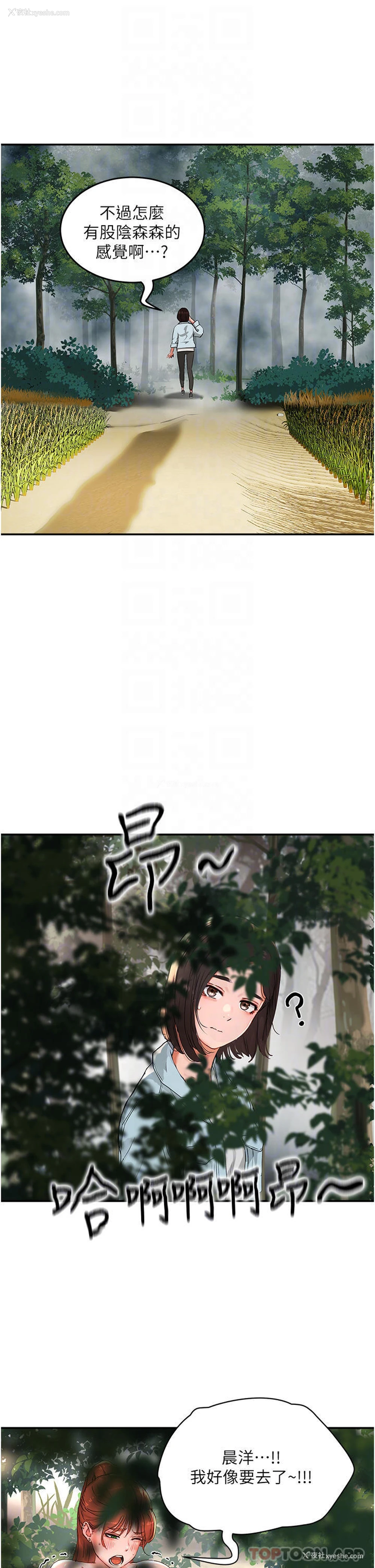 26P - 夏日深处