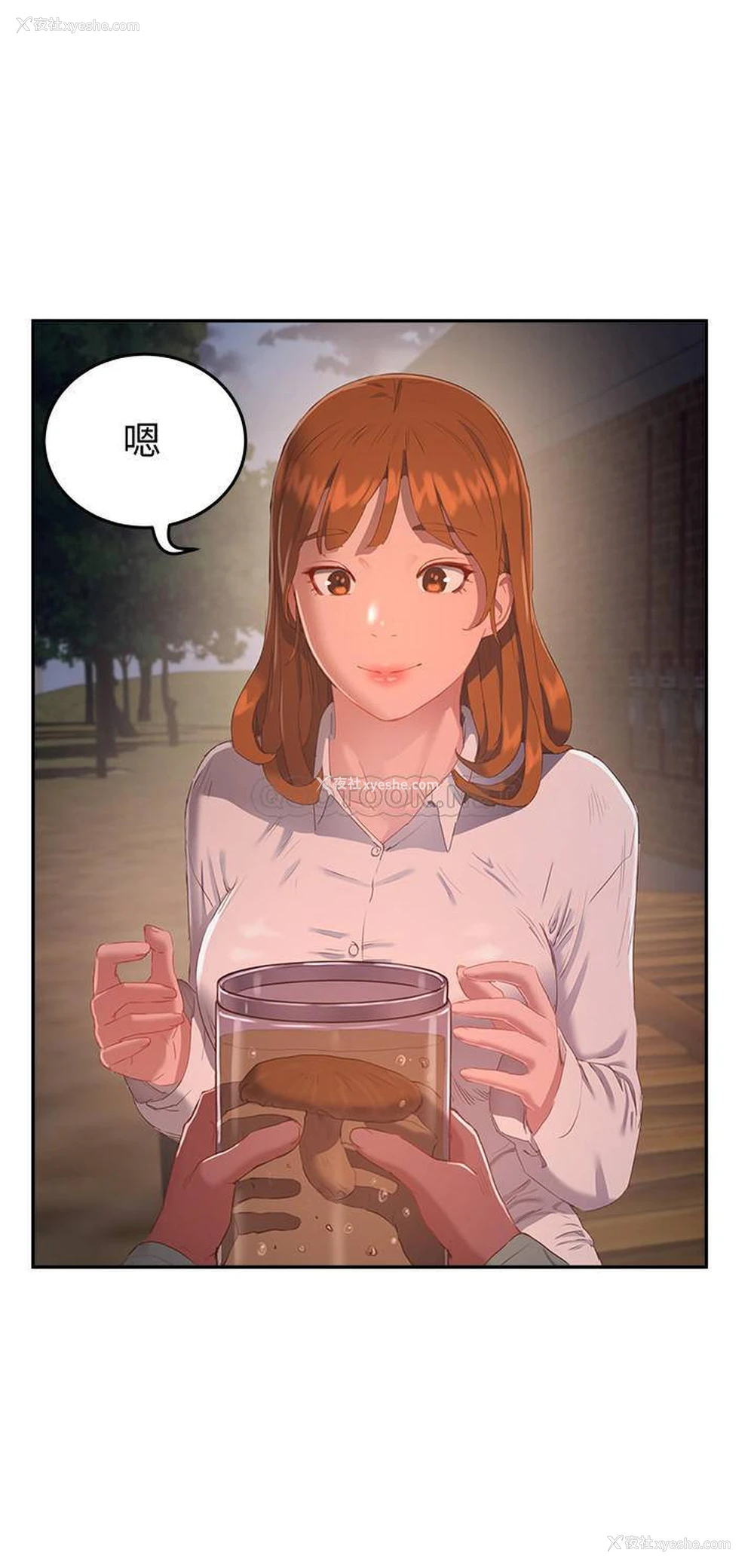 19P - 夏日深处