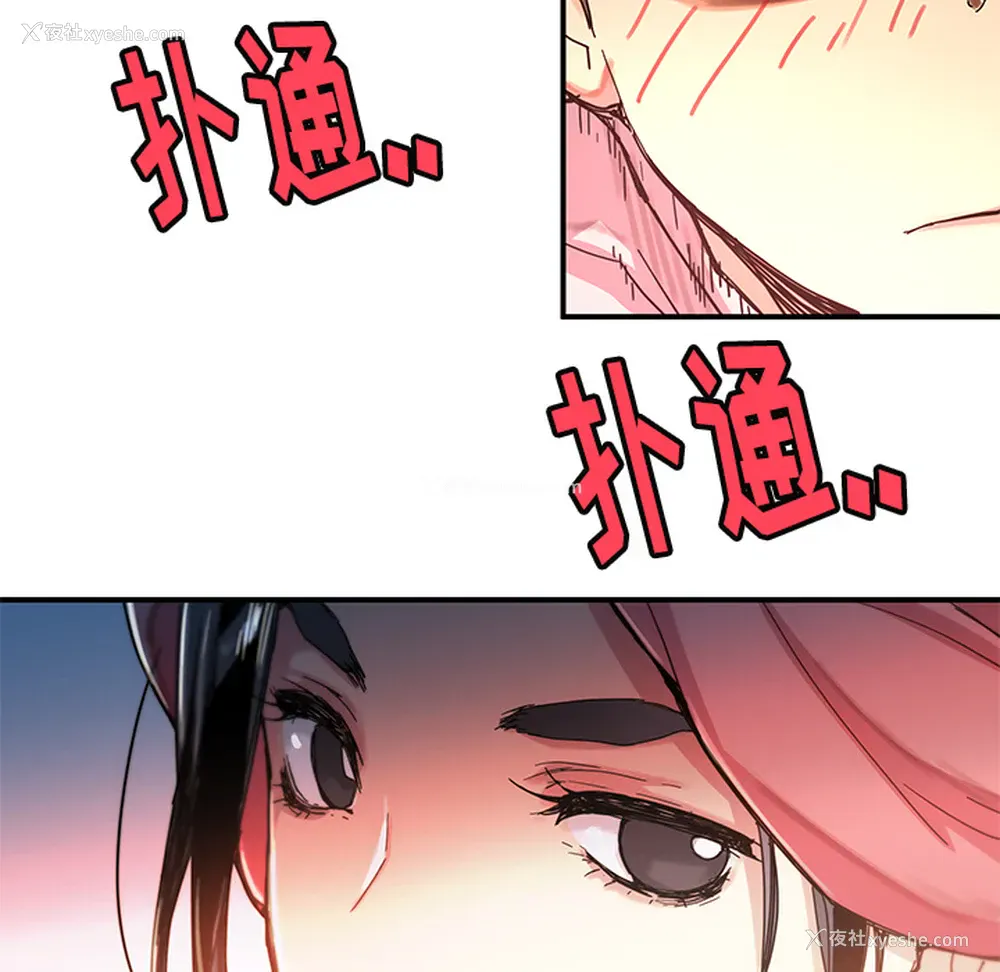 51P - 小白历险记