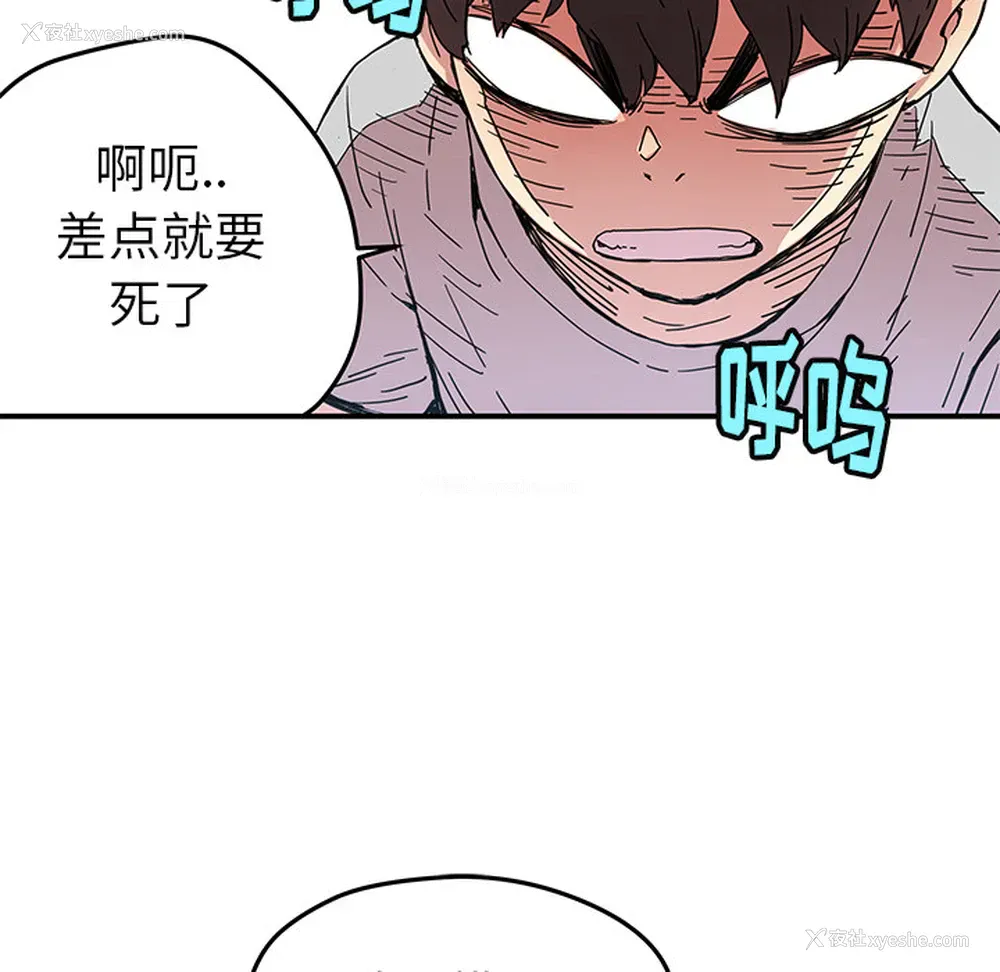 65P - 小白历险记