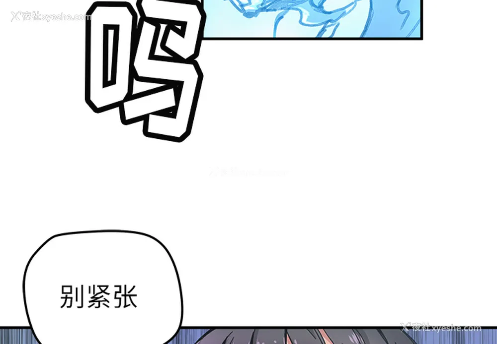 4P - 小白历险记