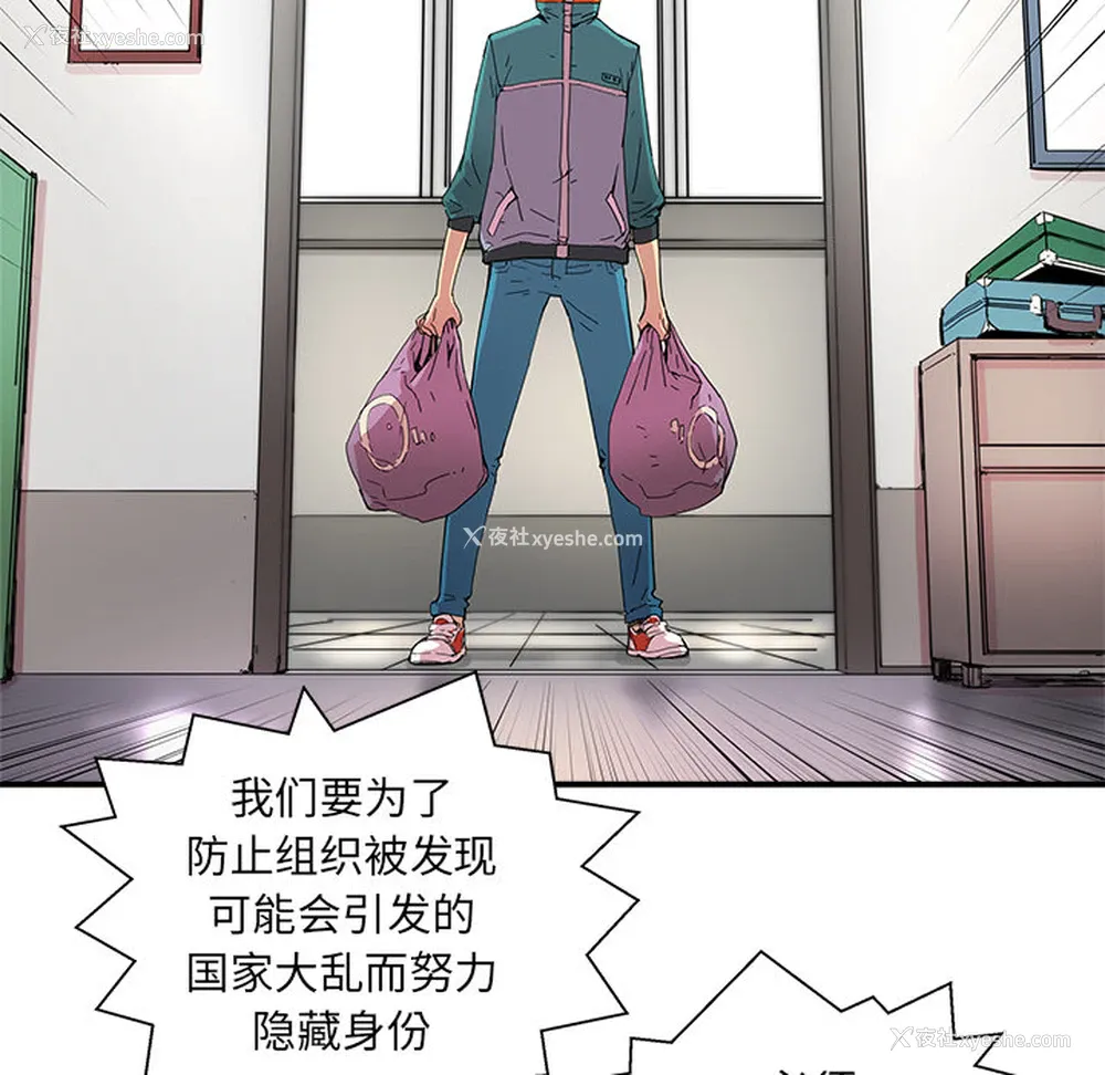 43P - 小白历险记