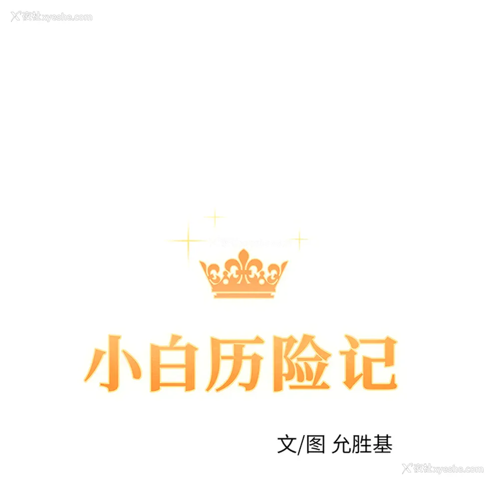 31P - 小白历险记