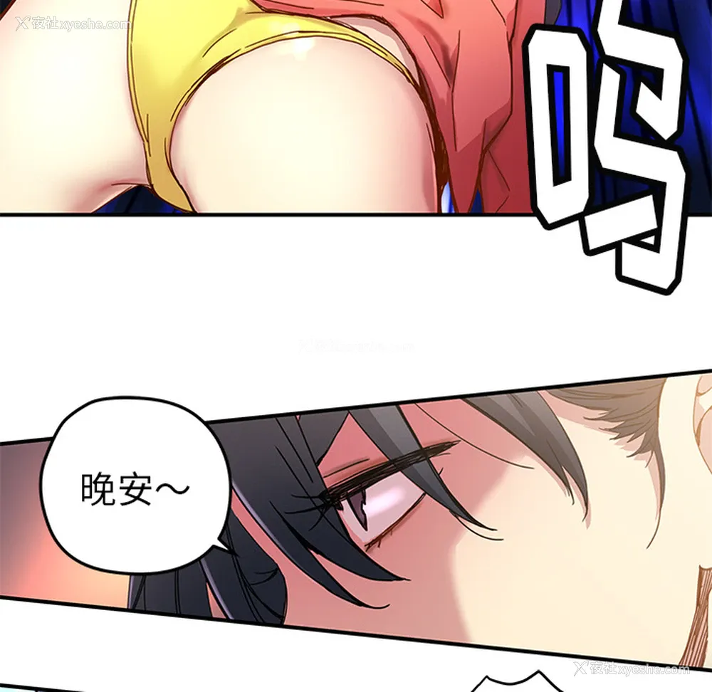 81P - 小白历险记