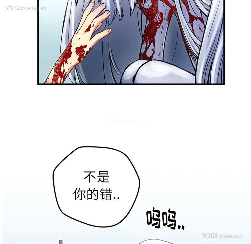 24P - 小白历险记