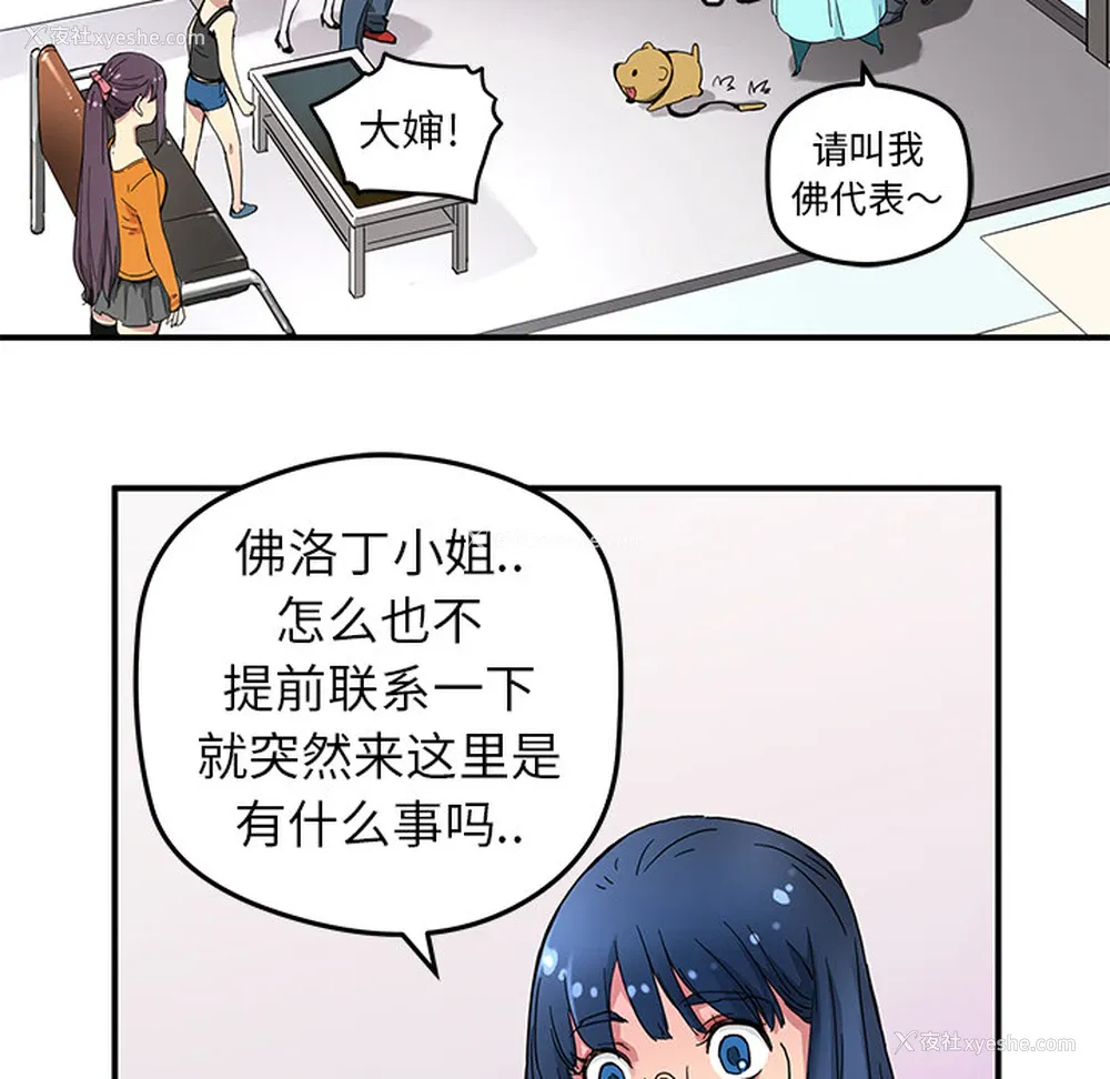 34P - 小白历险记