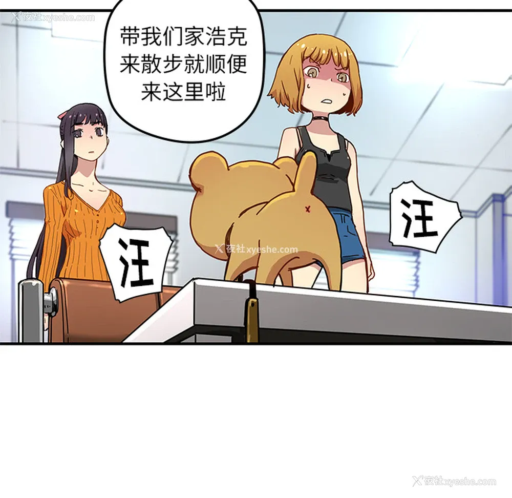 36P - 小白历险记