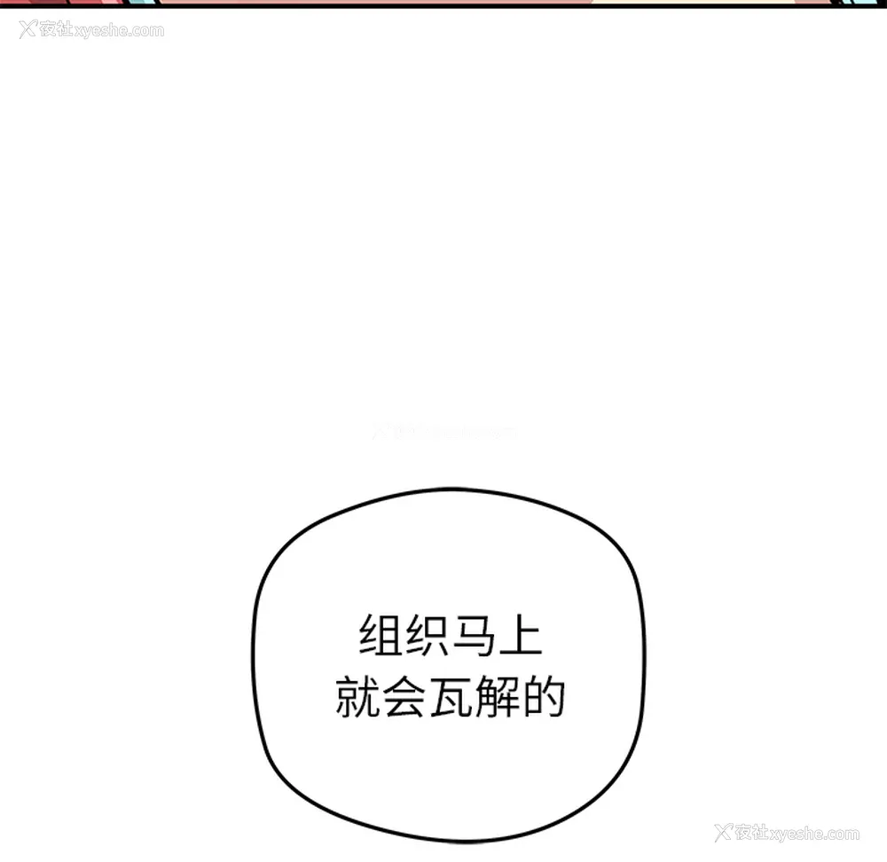 63P - 小白历险记