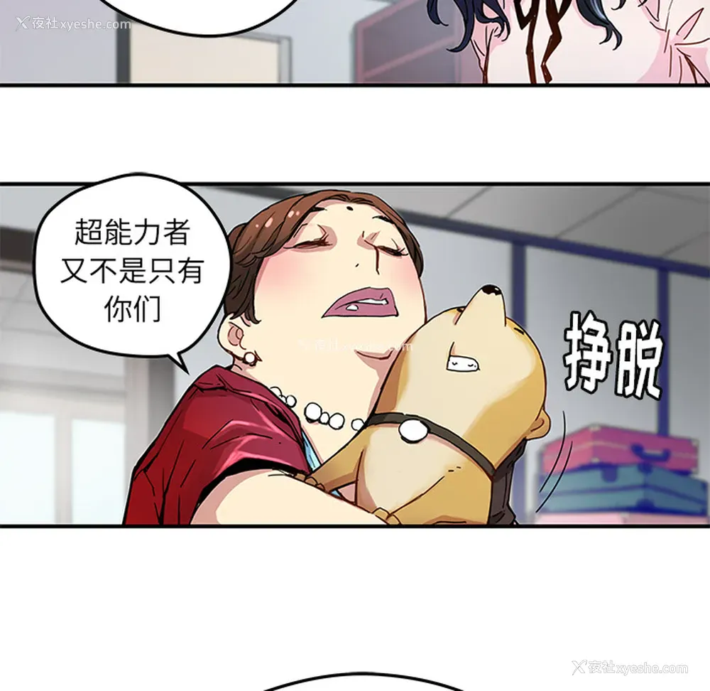 15P - 小白历险记