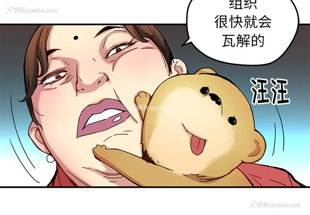 4P - 小白历险记