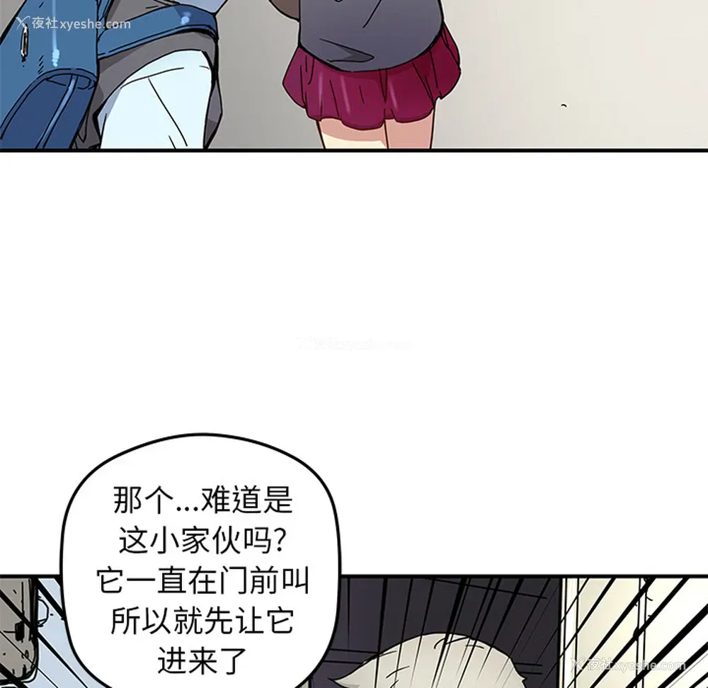 51P - 小白历险记