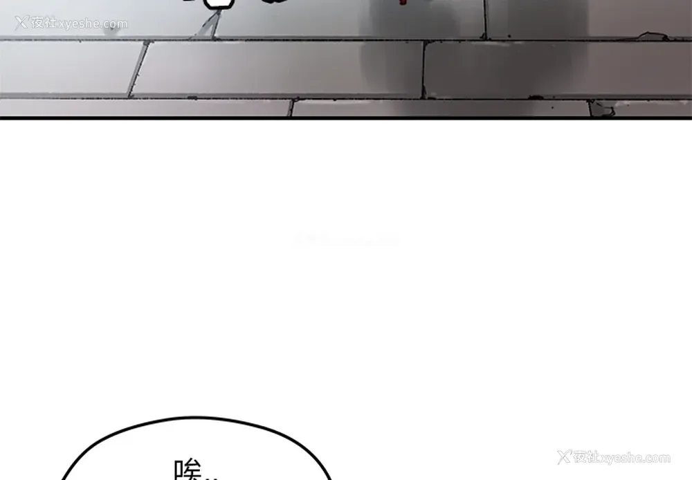4P - 小白历险记