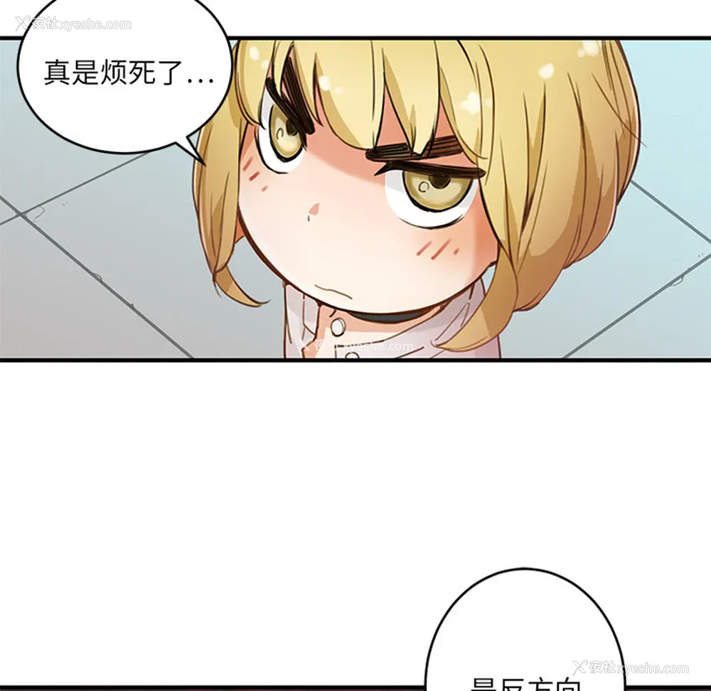 72P - 小白历险记