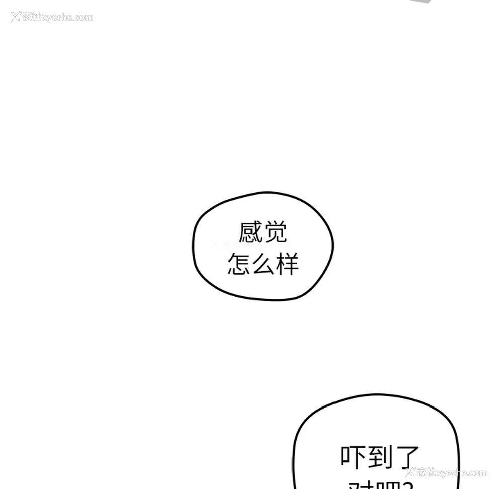 38P - 小白历险记
