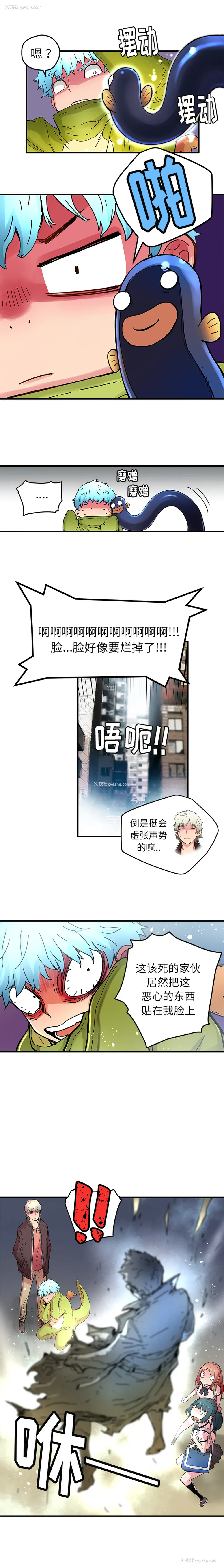5P - 小白历险记