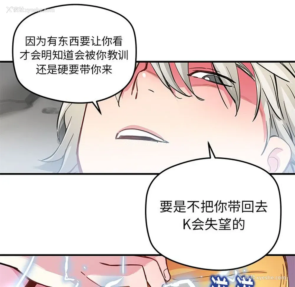 50P - 小白历险记