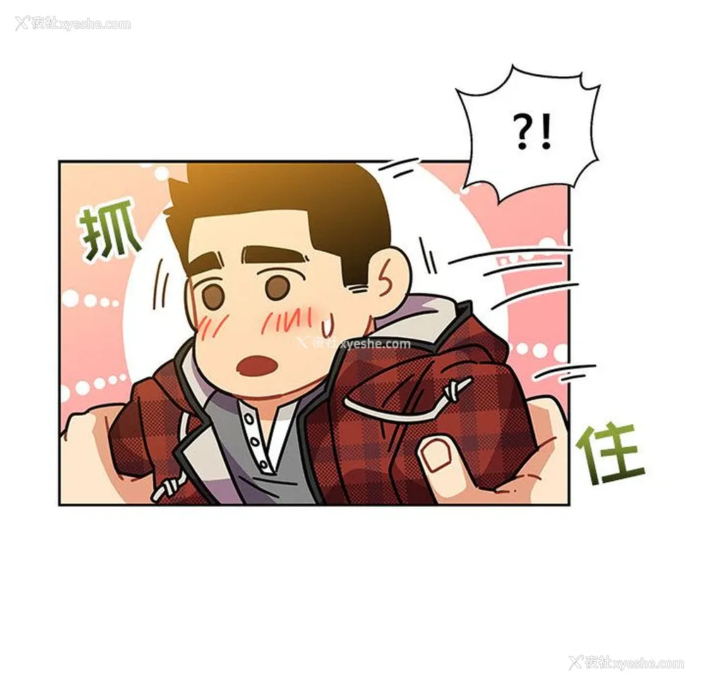 78P - 小白历险记