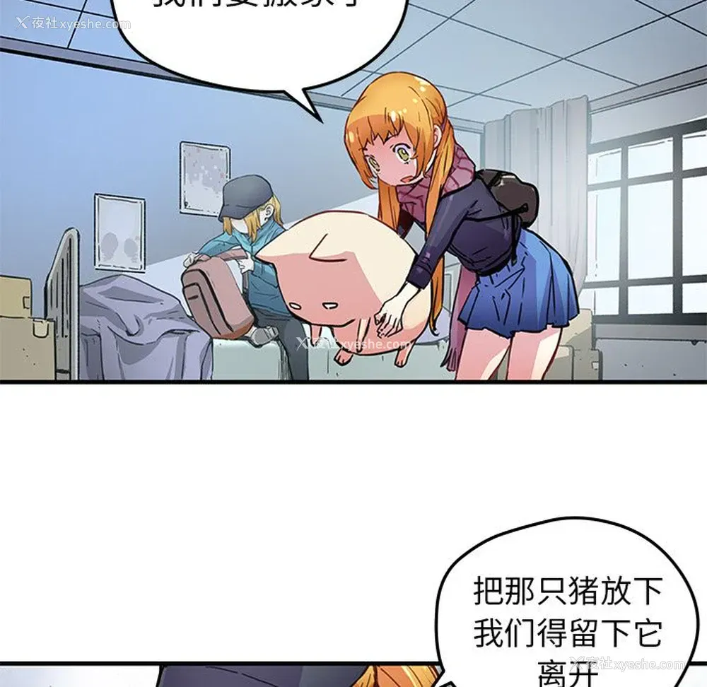 19P - 小白历险记
