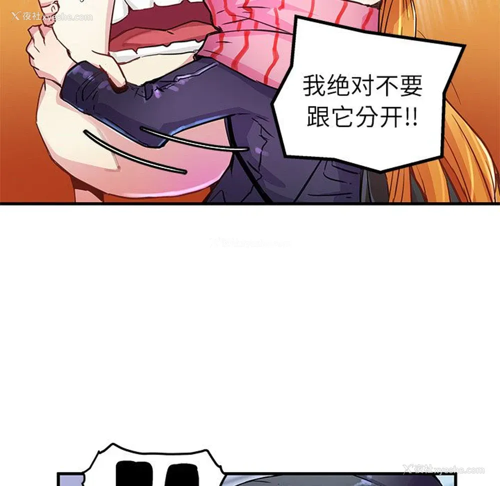 24P - 小白历险记
