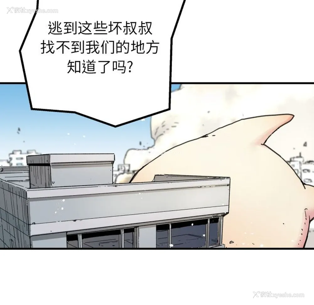 12P - 小白历险记