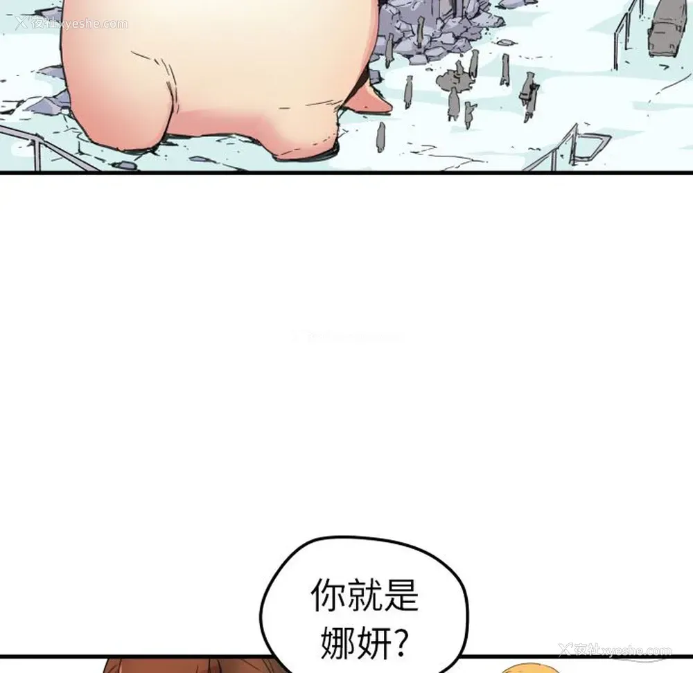 49P - 小白历险记