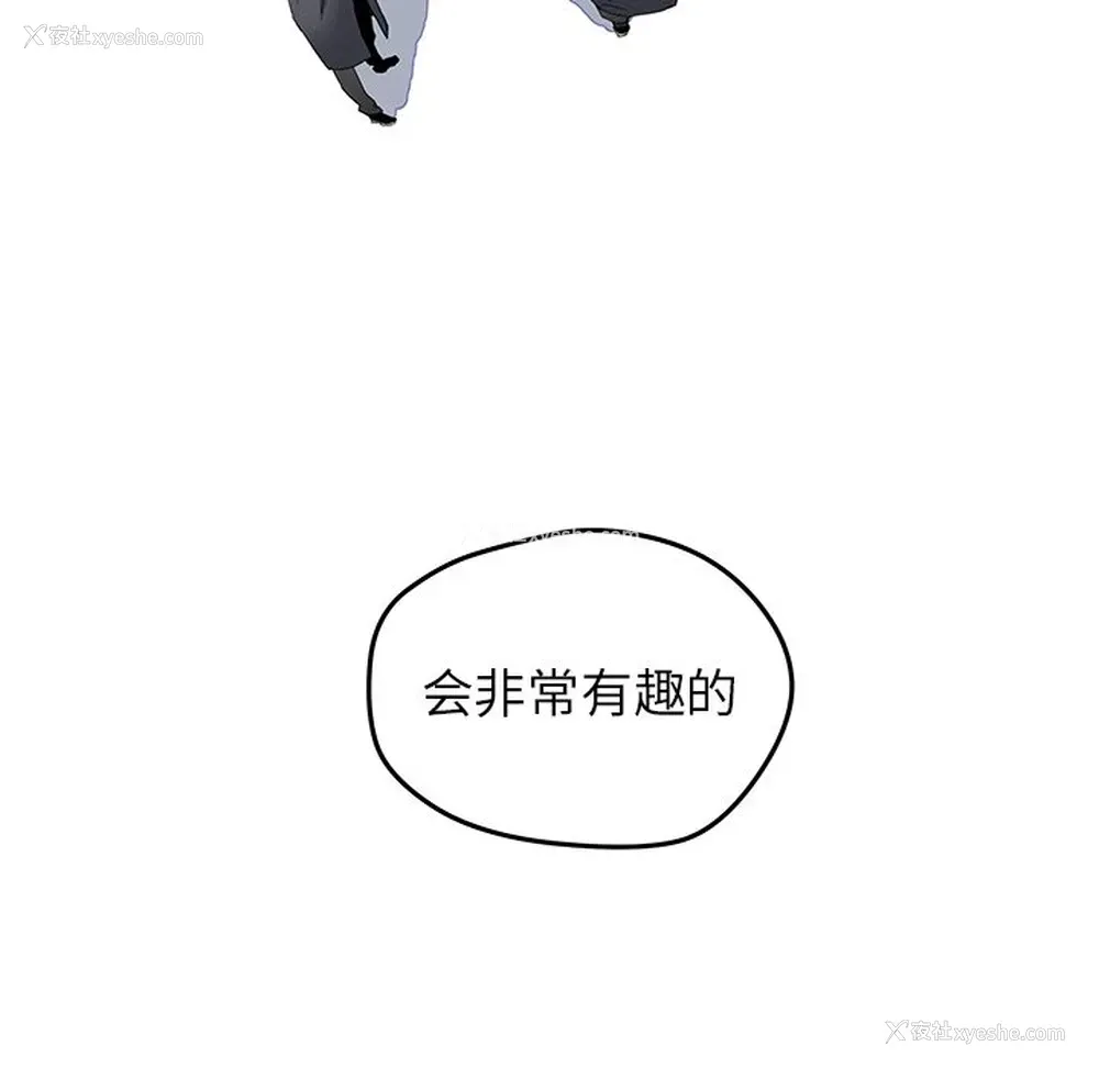 40P - 小白历险记