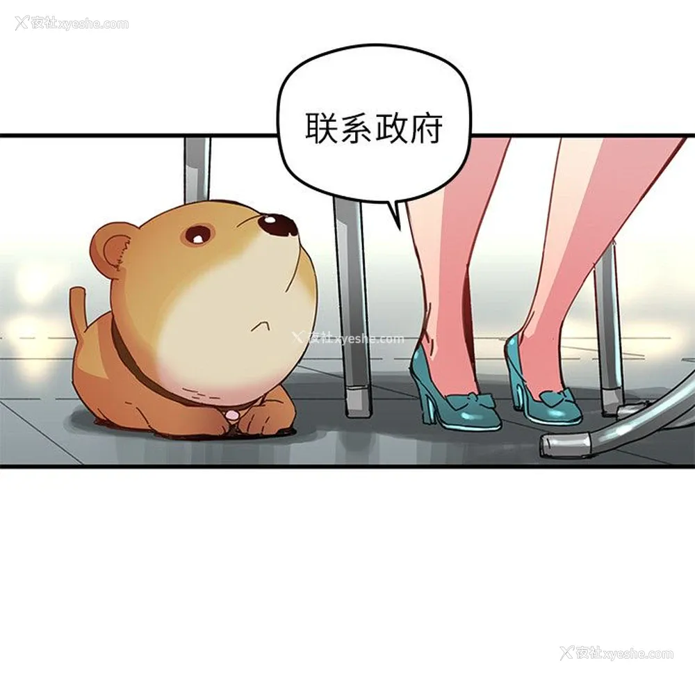 51P - 小白历险记