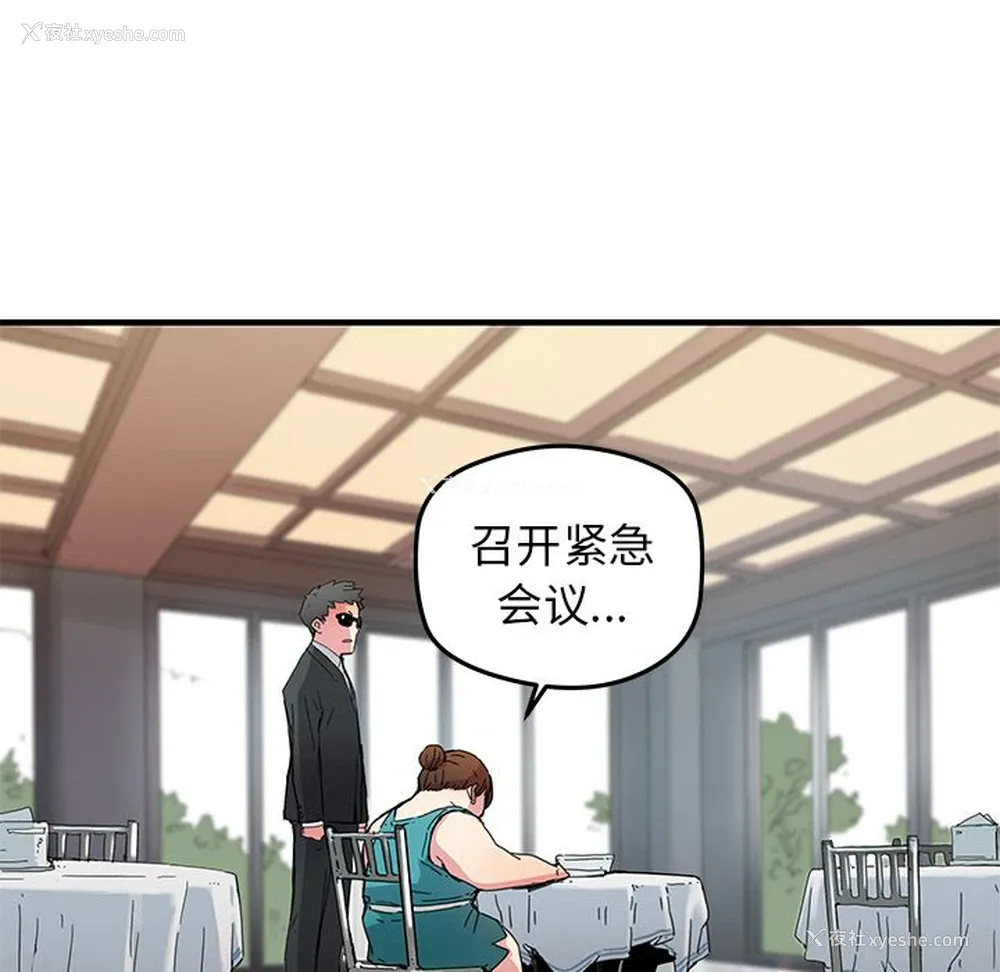 52P - 小白历险记