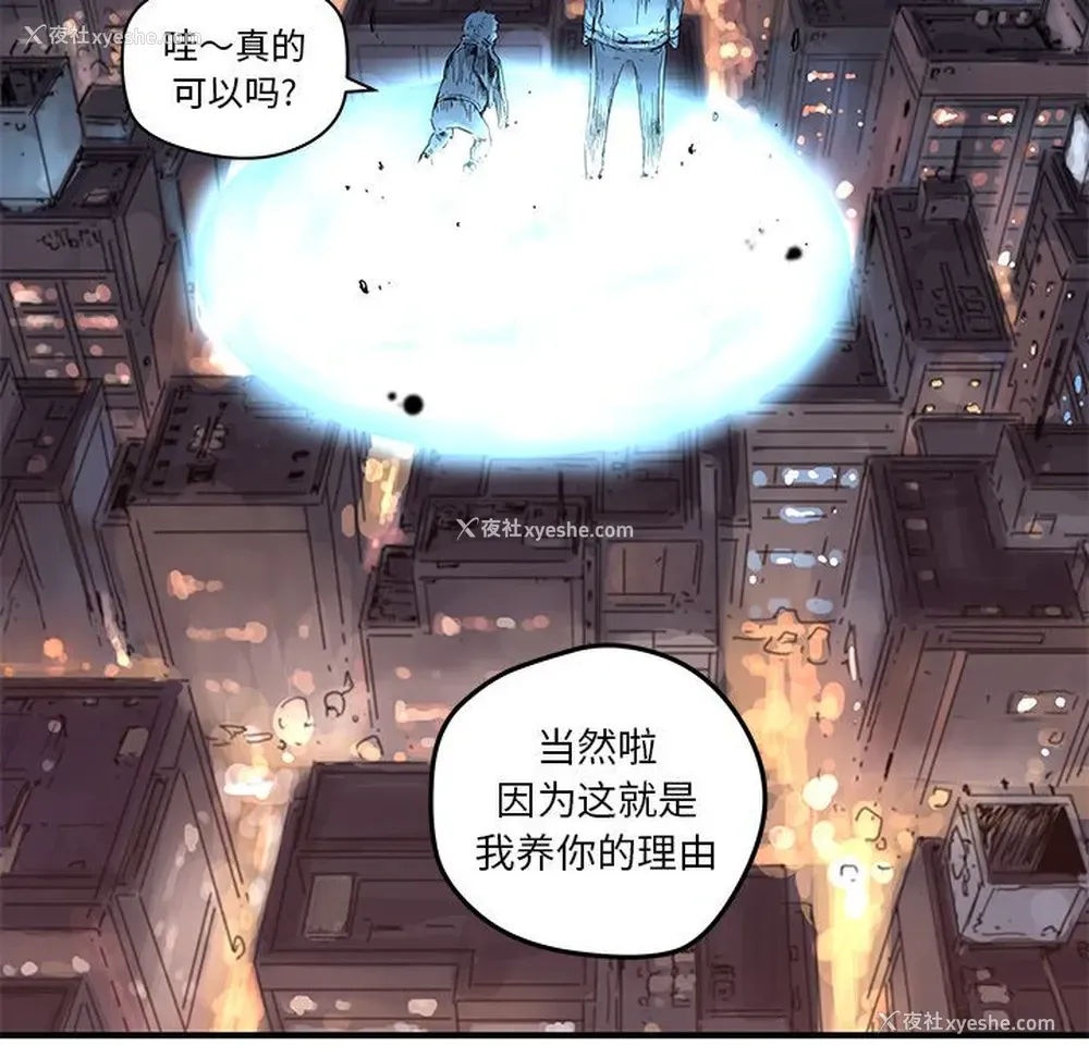 43P - 小白历险记