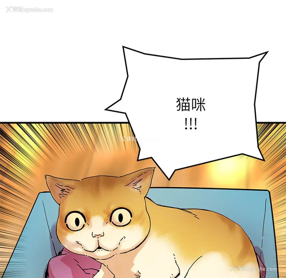 64P - 小白历险记