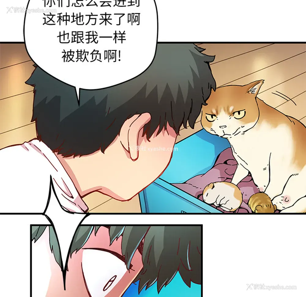 68P - 小白历险记