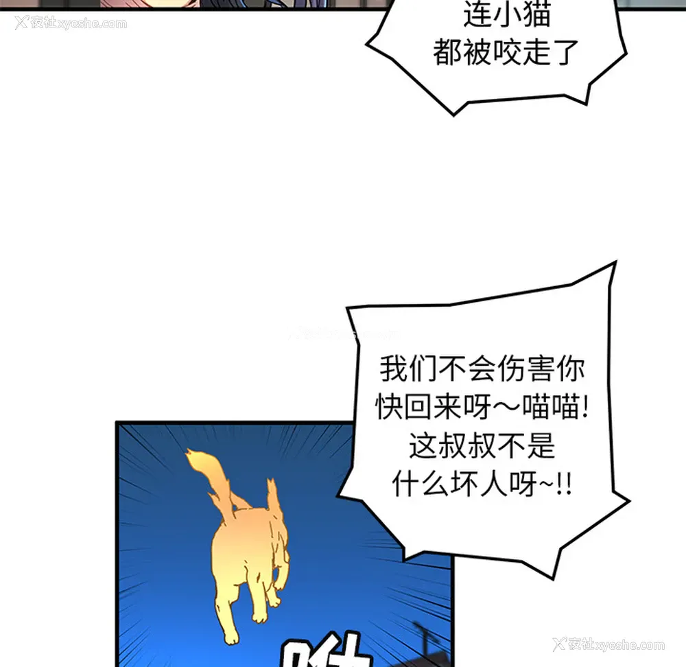78P - 小白历险记