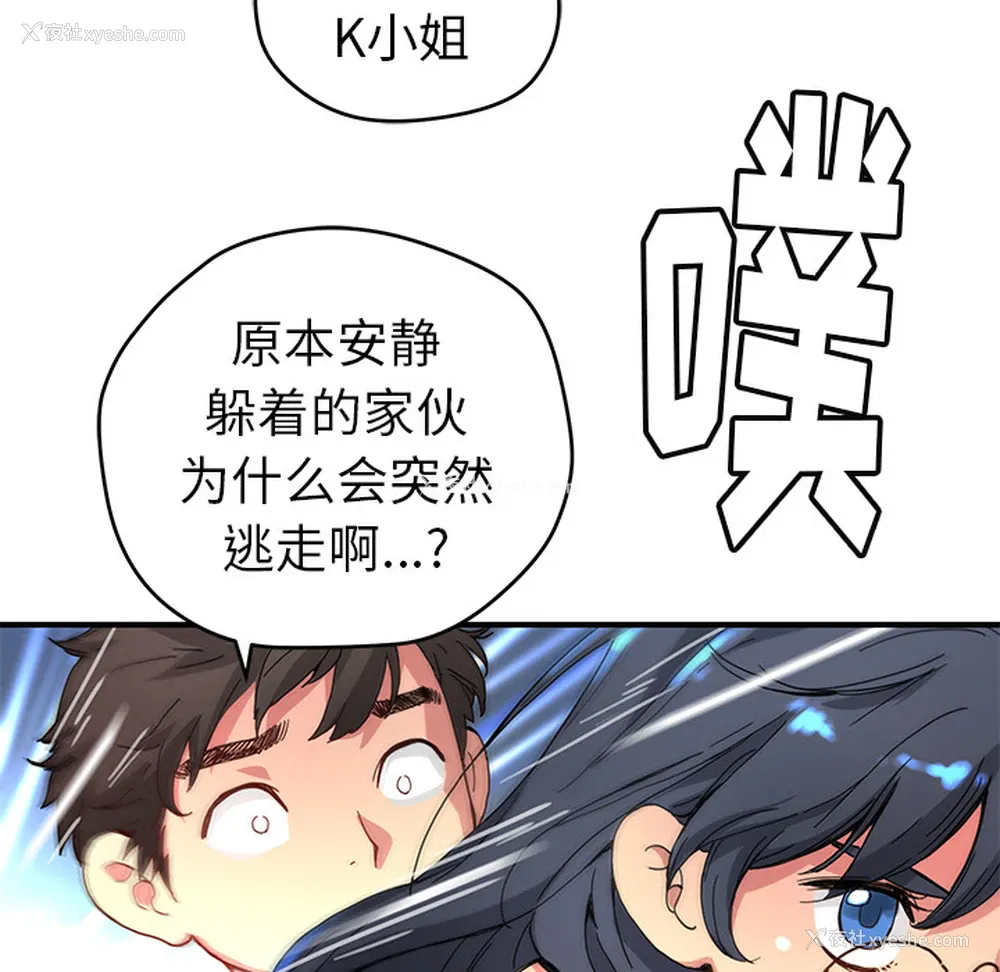 13P - 小白历险记