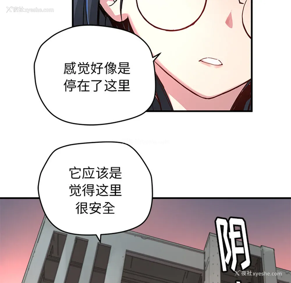 40P - 小白历险记